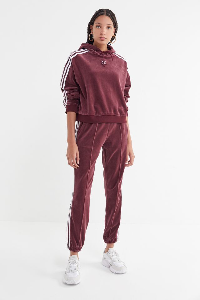 Adidas velvet sale cropped hoodie sweatshirt