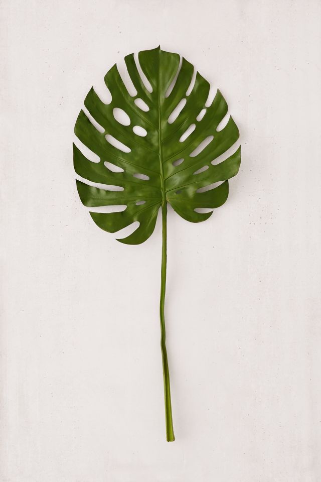 Giant Monstera Leaf Faux Plant #1