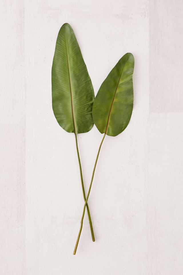 Strelitzia Leaf Faux Plant - Set Of 2 #1