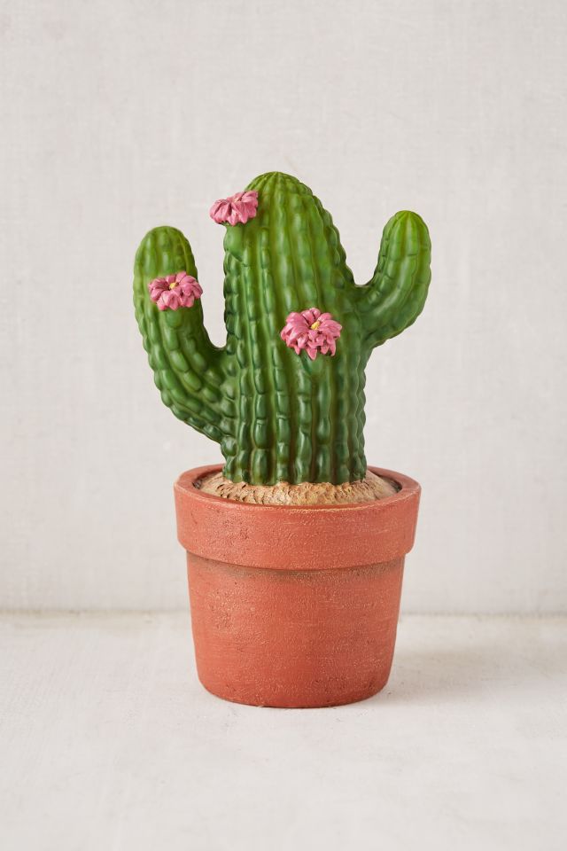 Cactus Light #1