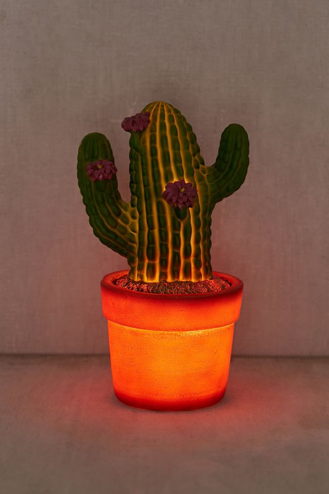Cactus Light #2