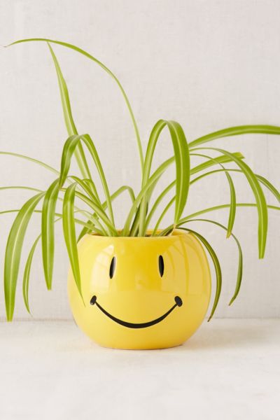 Smile authentic Pot