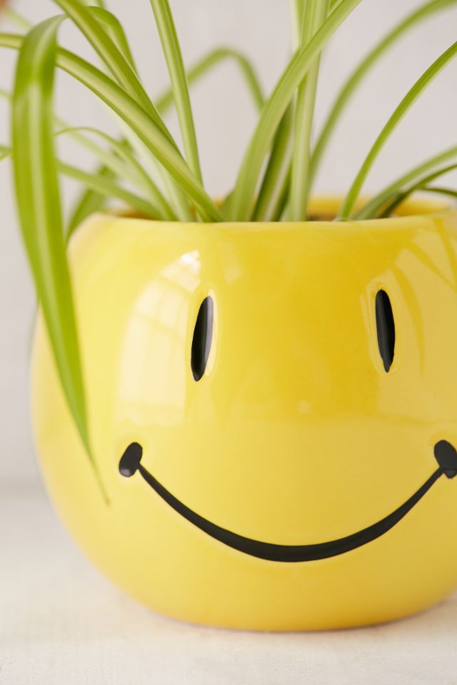 Smiley Face Planter #1