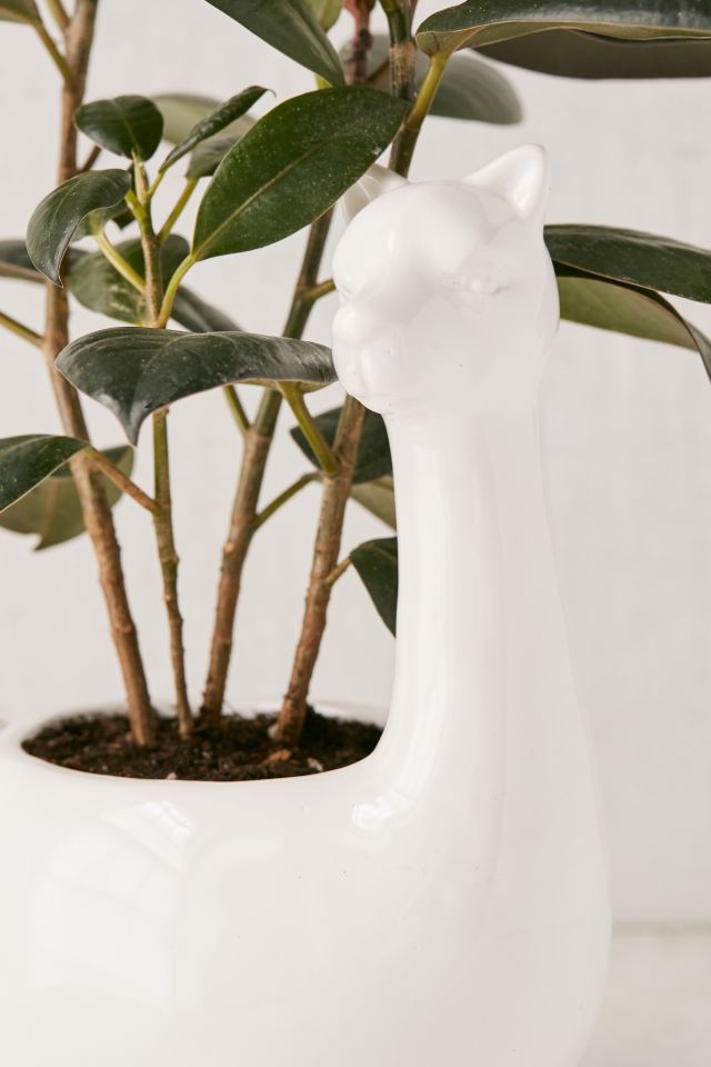 Large Llama 4" Planter #1