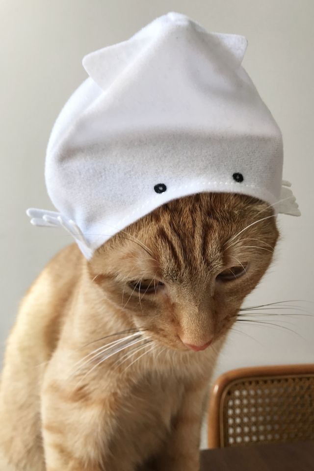 Cat Cap #1
