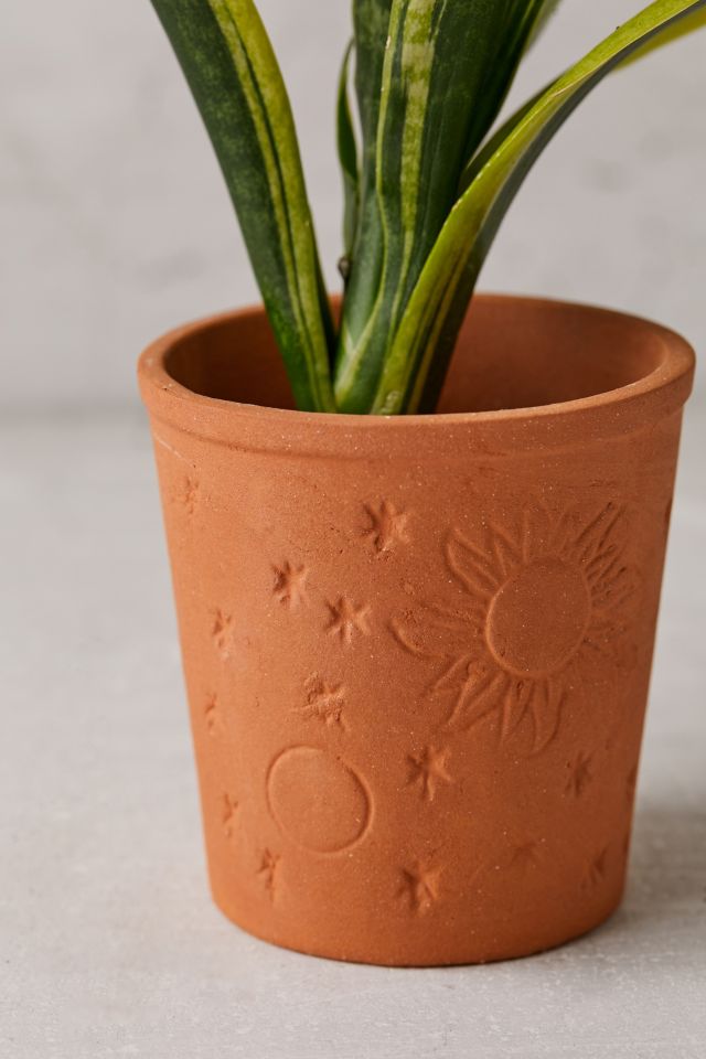 Cosmic Terracotta Planter #2