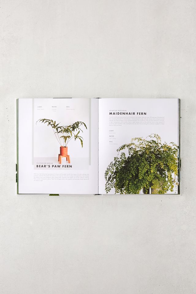 Leaf Supply: A Guide to Keeping Happy House Plants By Lauren Camilleri & Sophia Kaplan #3