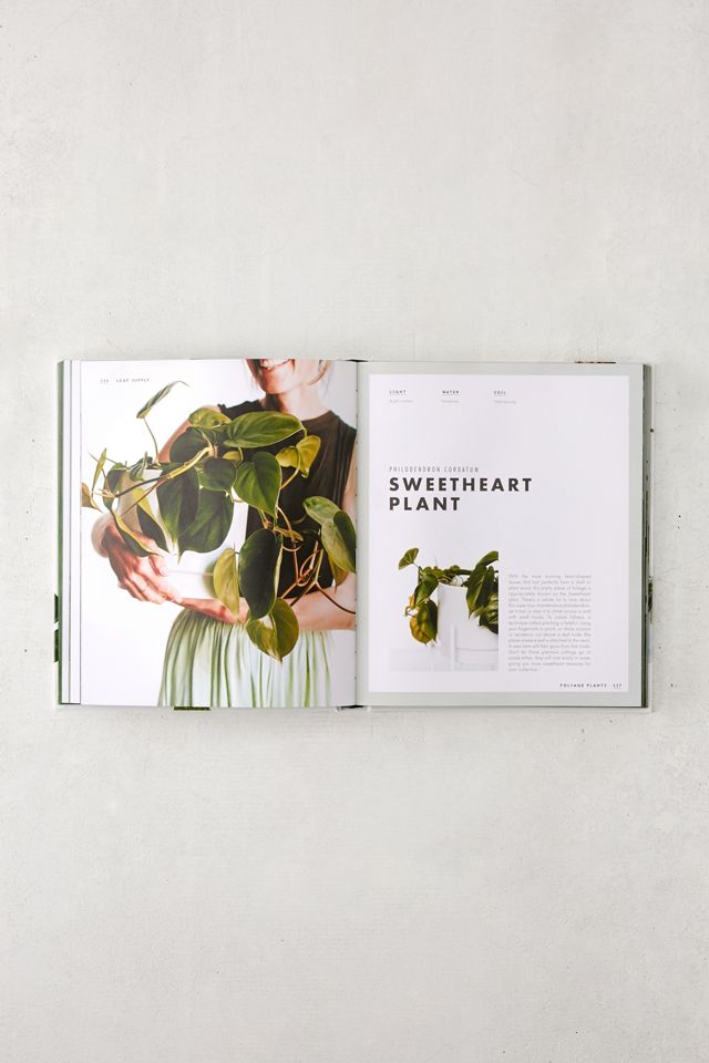 Leaf Supply: A Guide to Keeping Happy House Plants By Lauren Camilleri & Sophia Kaplan #4