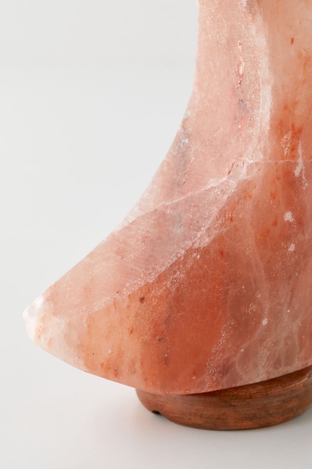 Moon Himalayan Salt Lamp #3