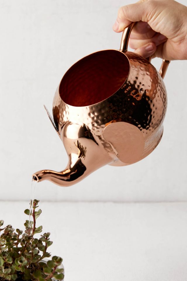 Elephant Watering Can #1