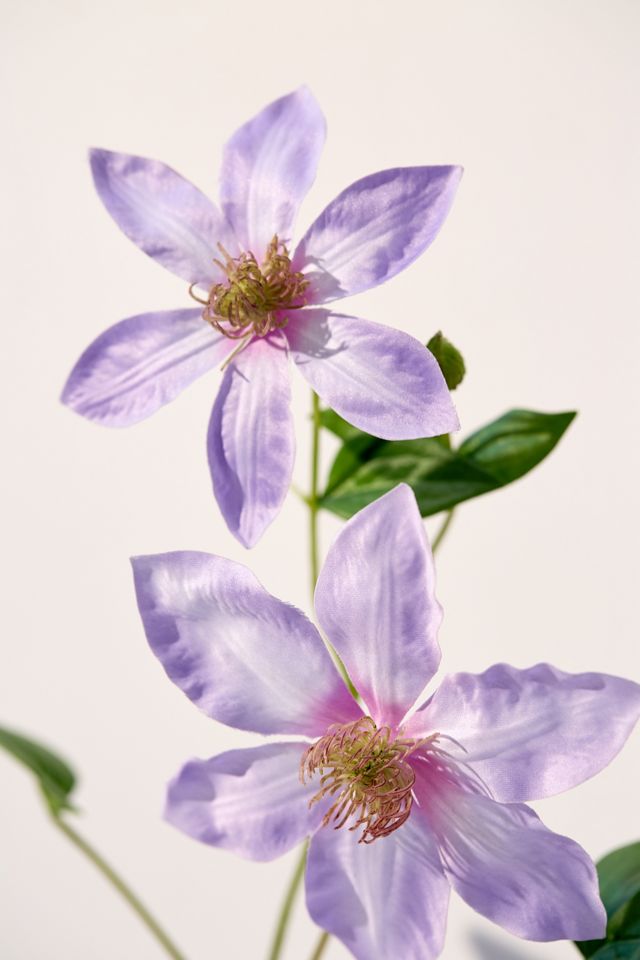 Clematis Faux Flower | Urban Outfitters Canada