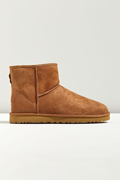 Men's Slippers