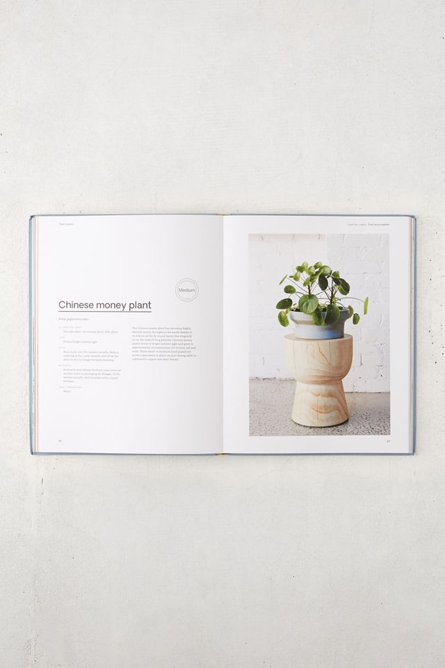Plant Society: Create an Indoor Oasis for your Urban Space By Jason Chongue #3