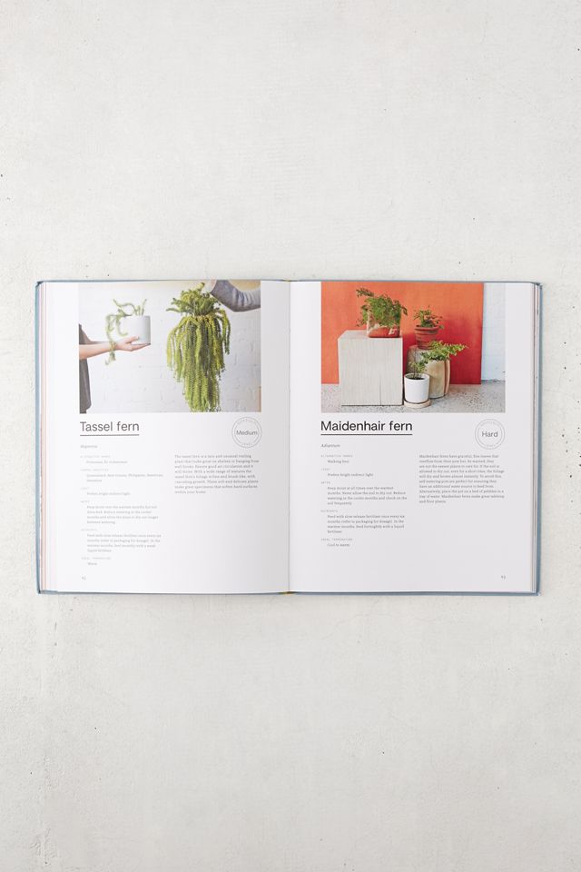 Plant Society: Create an Indoor Oasis for your Urban Space By Jason Chongue #4