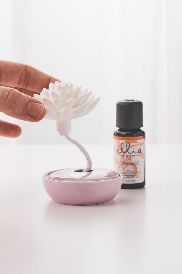 Succulent Essential Oil Diffuser #1