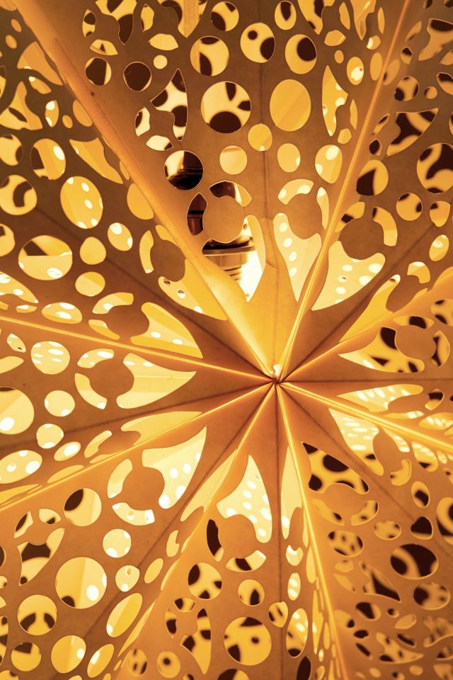 Lacy Cutout Star Paper Lantern #2