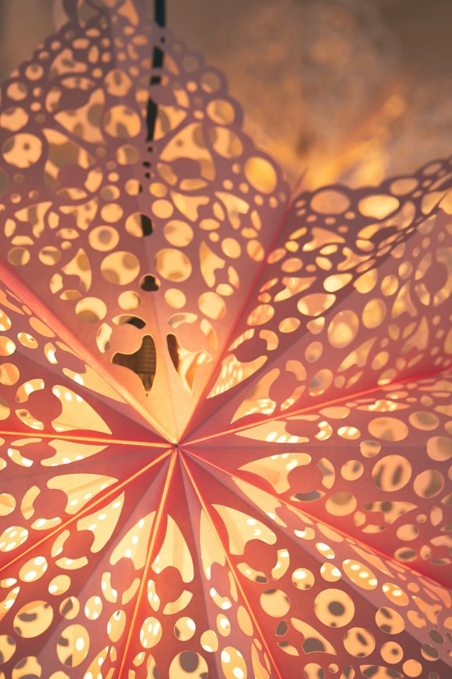 Lacy Cutout Star Paper Lantern #3