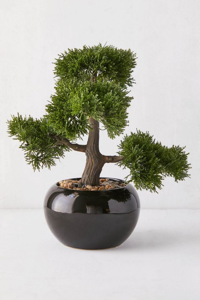 Round Faux Bonsai Tree #1