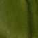 Bright Green