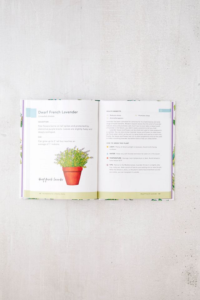 Houseplants for a Healthy Home: 50 Indoor Plants to Help You Breathe Better, Sleep Better, and Feel Better All Year Round By Jon VanZile #4