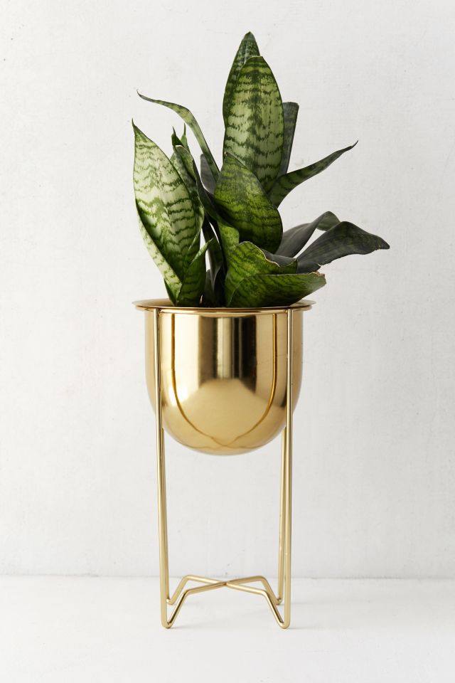 Gilded Bowl Planter + Stand 