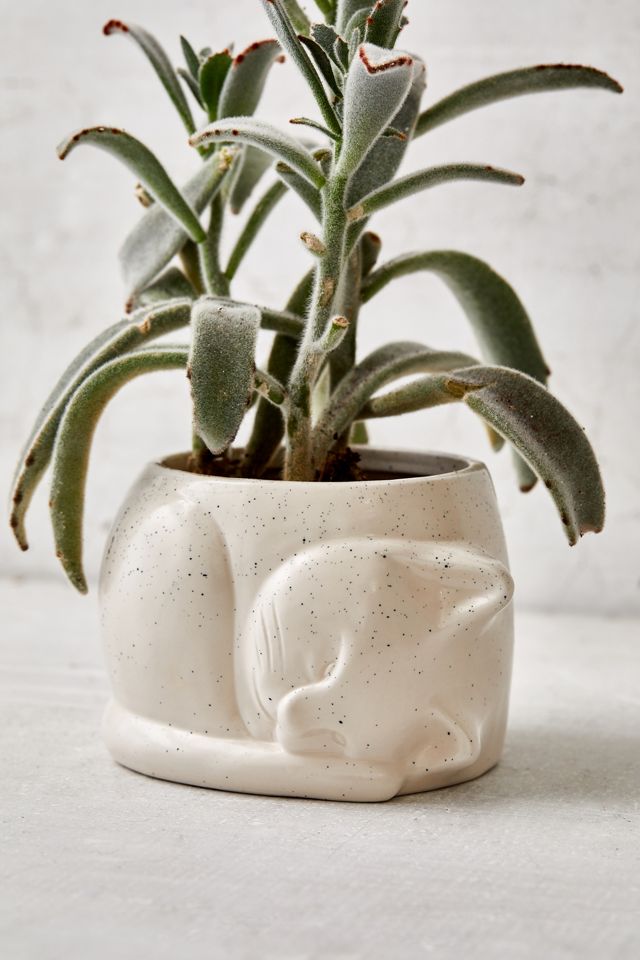 Sleepy Kitten Ceramic 4” Planter #3