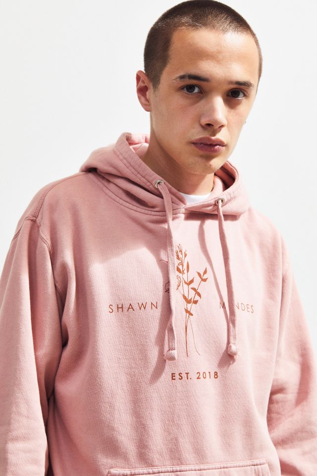 Shawn mendes urban cheap outfitters hoodie