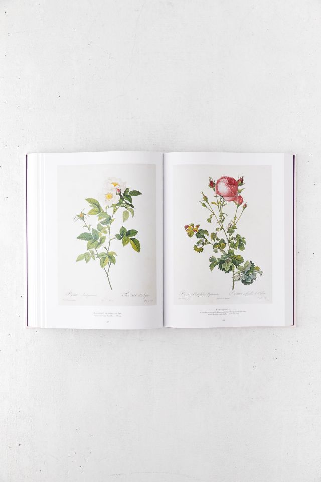 Redouté: Le Livre des Fleurs Par H. Walter Lack #4