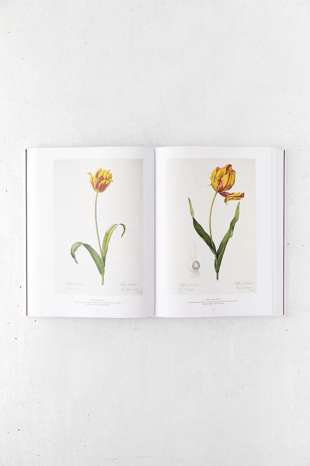 Redouté: Le Livre des Fleurs Par H. Walter Lack #5