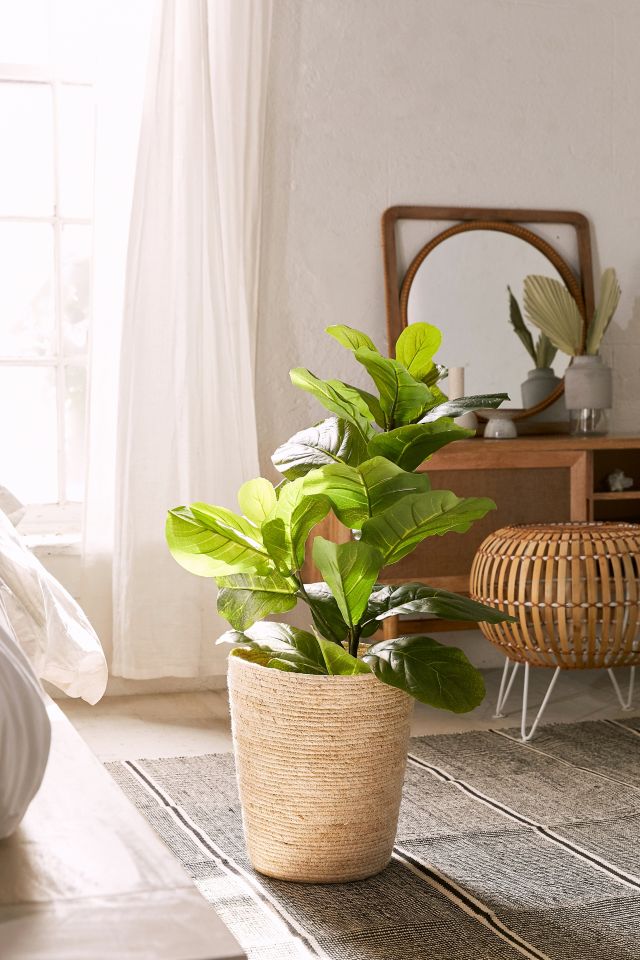 Fiddle Leaf Potted Faux Plant #1
