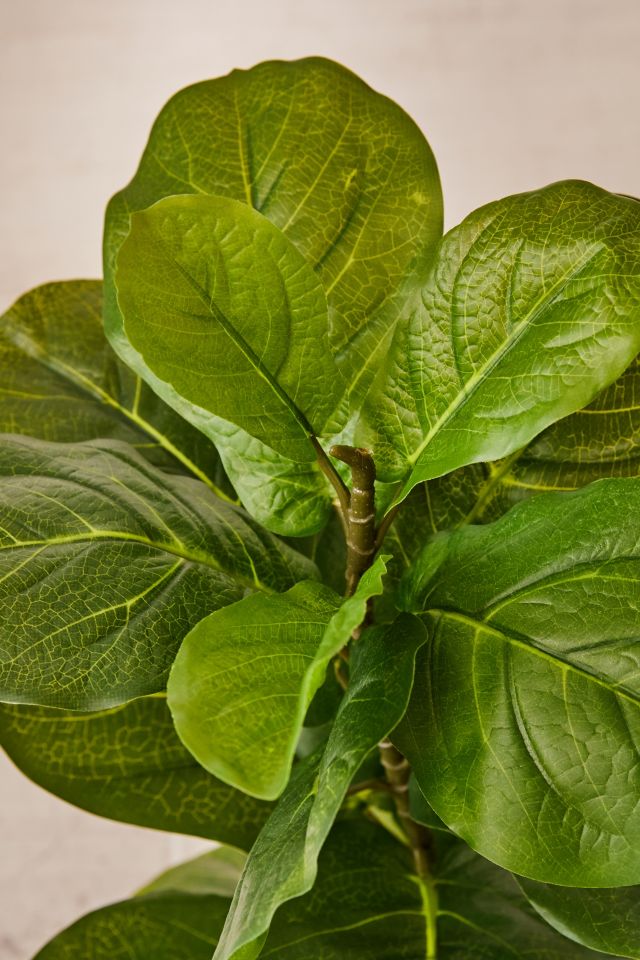 Fiddle Leaf Potted Faux Plant #2