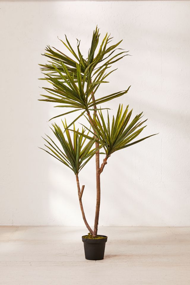 Yucca 6’ Potted Faux Tree #1