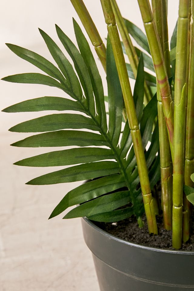 Areca 6’ Potted Faux Plant #2