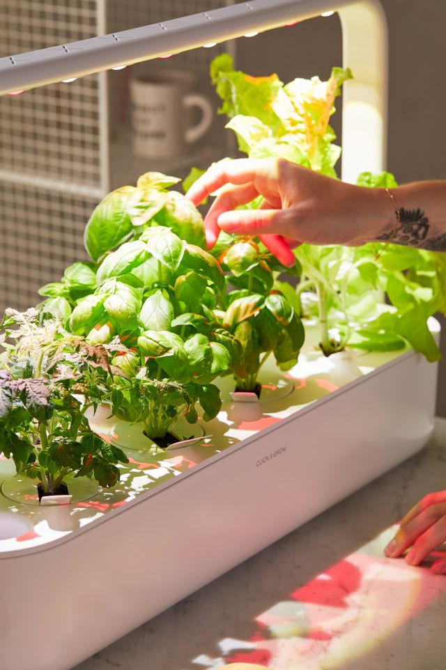 Click Grow Smart Garden 9