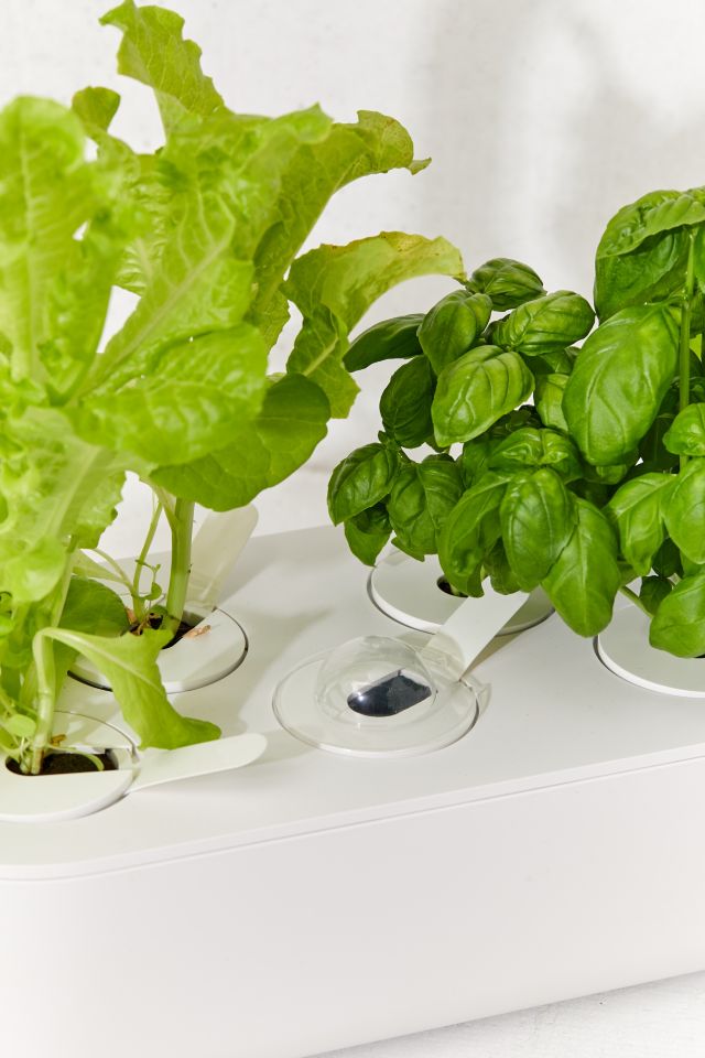 Click Grow Smart Garden 9