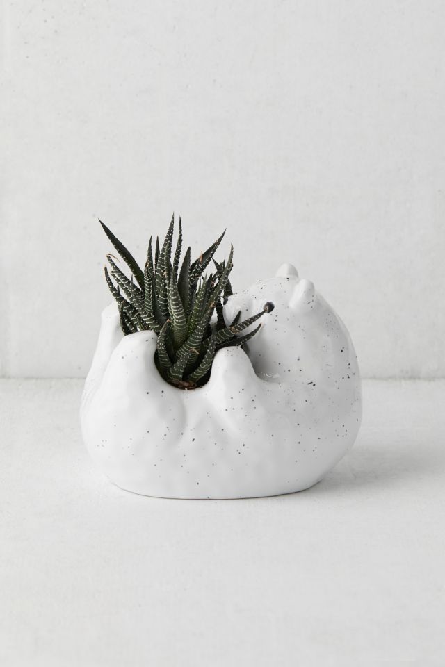 Bear Hug Planter | Urban Outfitters