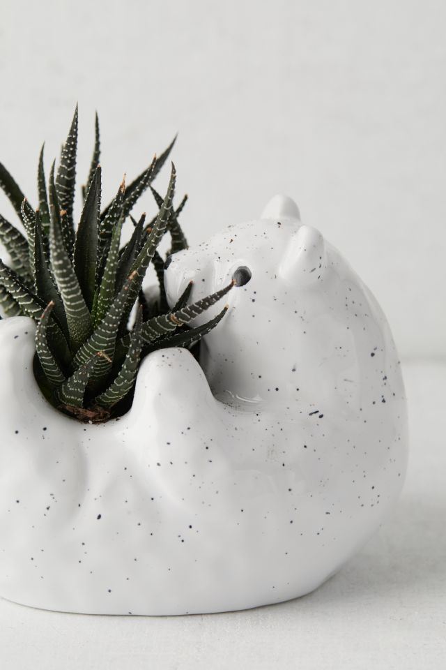 Bear Hug Planter #1