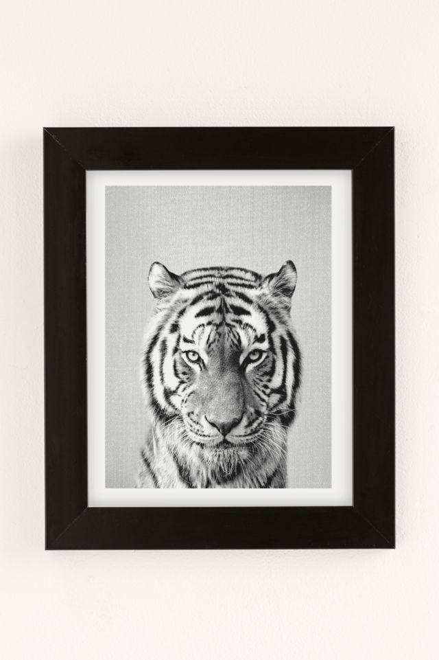 Baby Tiger - Black & White Art Print by Gal Design