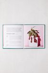 Little Book of House Plants and Other Greenery By Emma Sibley #4