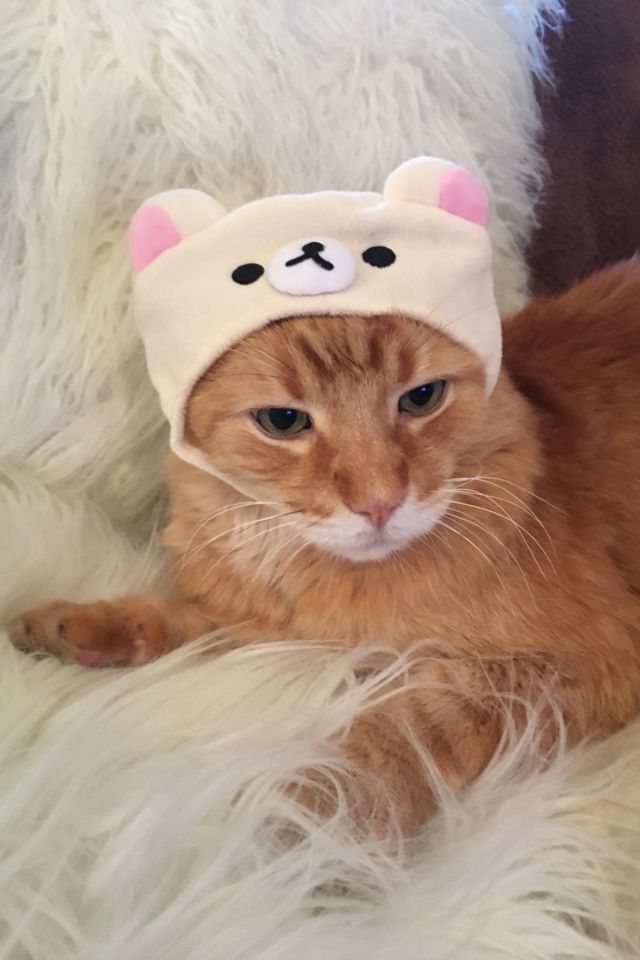 Rilakkuma Cat Cap | Urban Outfitters