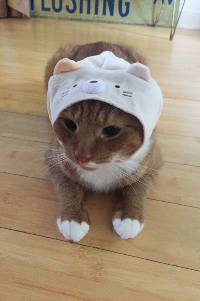 Sumikko Gurashi Cat Cap #1