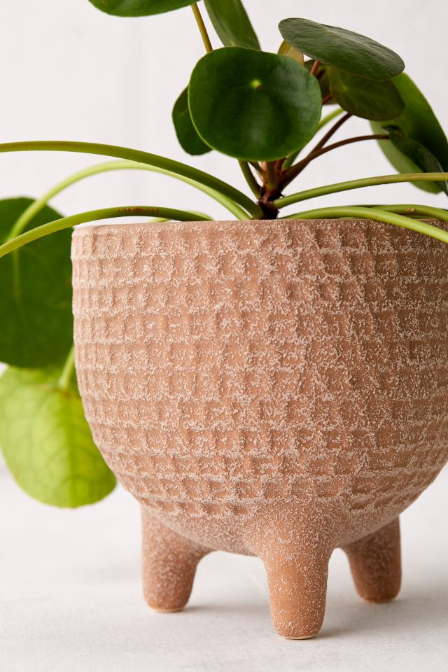 Sita 6” Textured Planter #1