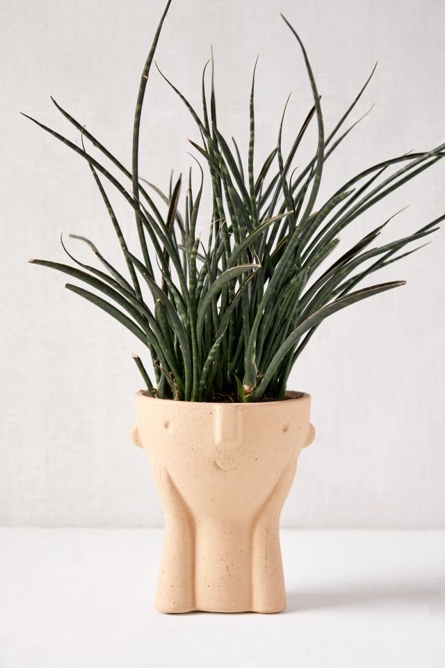 Hector Face 3.5" Planter #3
