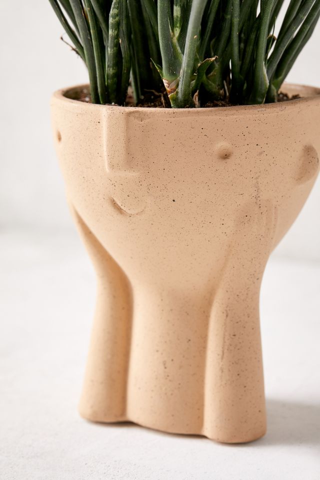 Hector Face 3.5" Planter #4