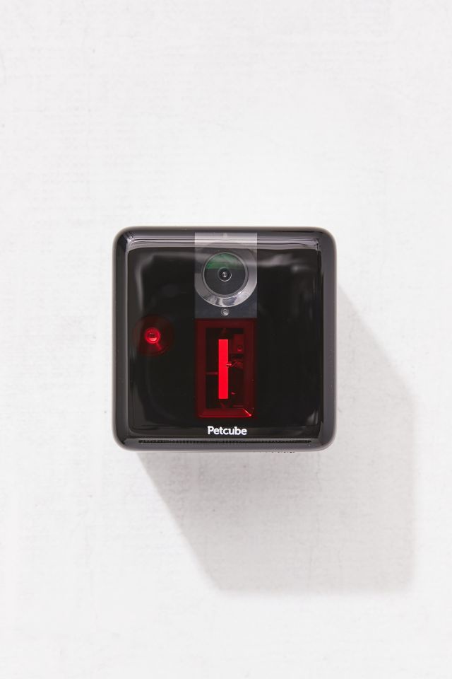 Petcube Play Camera #2