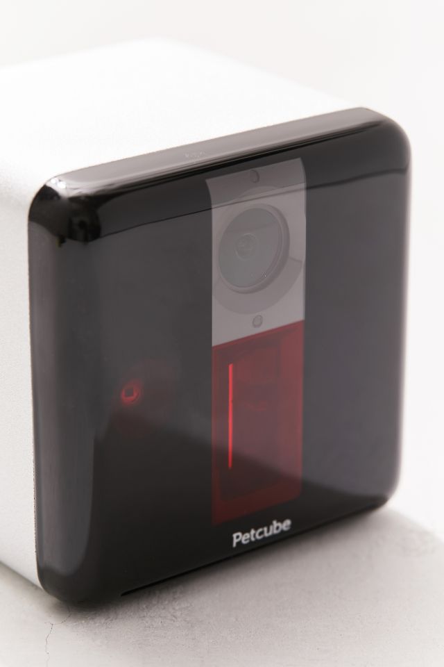 Petcube Play Camera #4