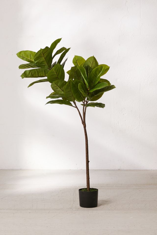 Potted Faux Rubber Tree #1