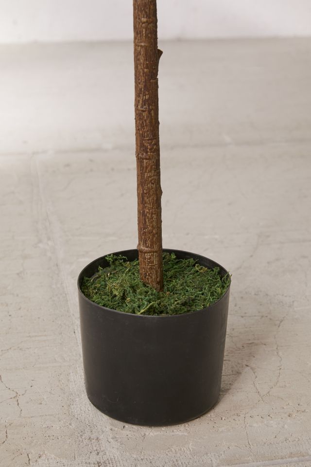Potted Faux Rubber Tree #2