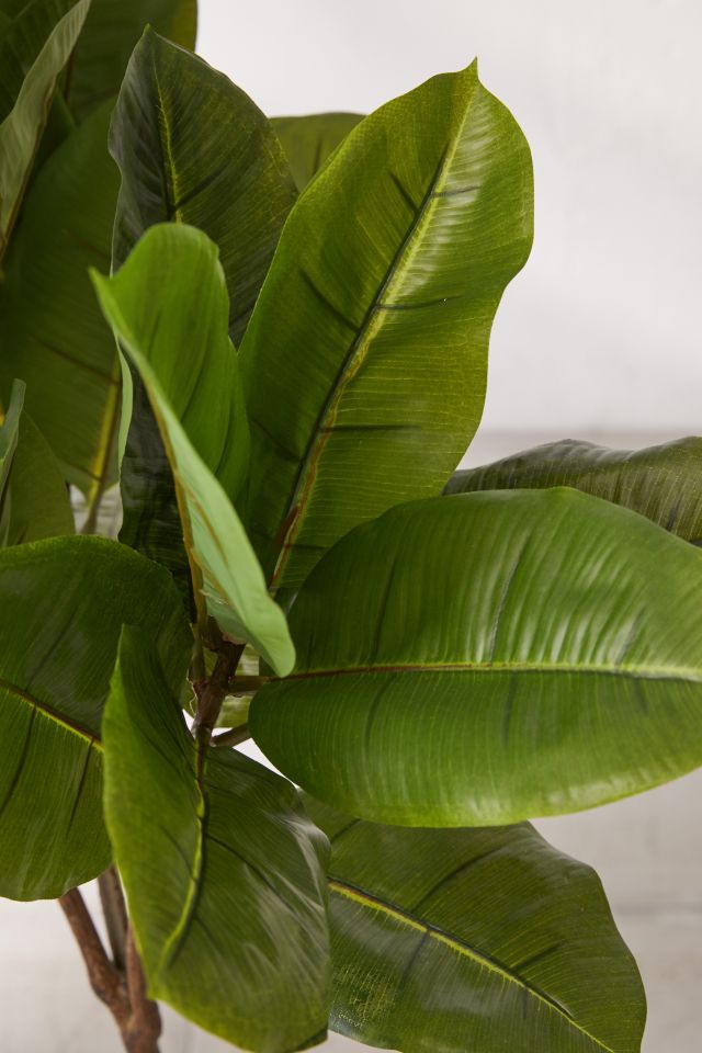 Potted Faux Rubber Tree #3