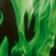 Vert clair